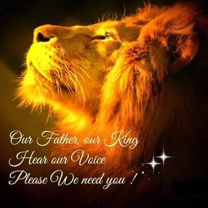 LION PROFILE PIC WITH PRAYER
